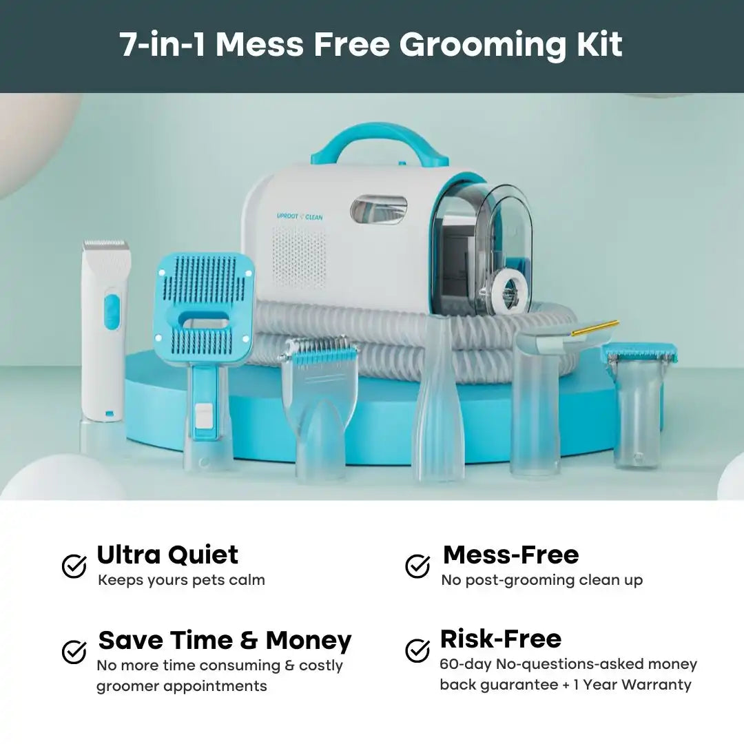 The Everything Uproot Bundle