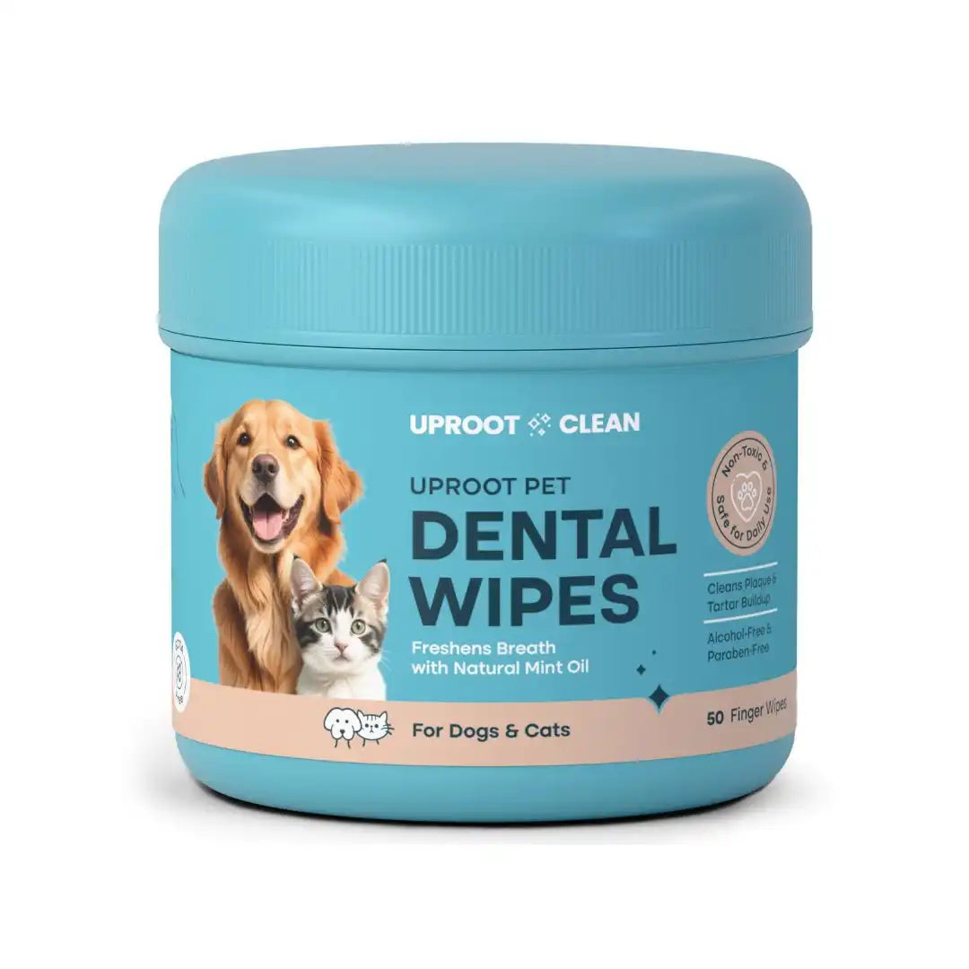 Uproot™ Dental Wipes