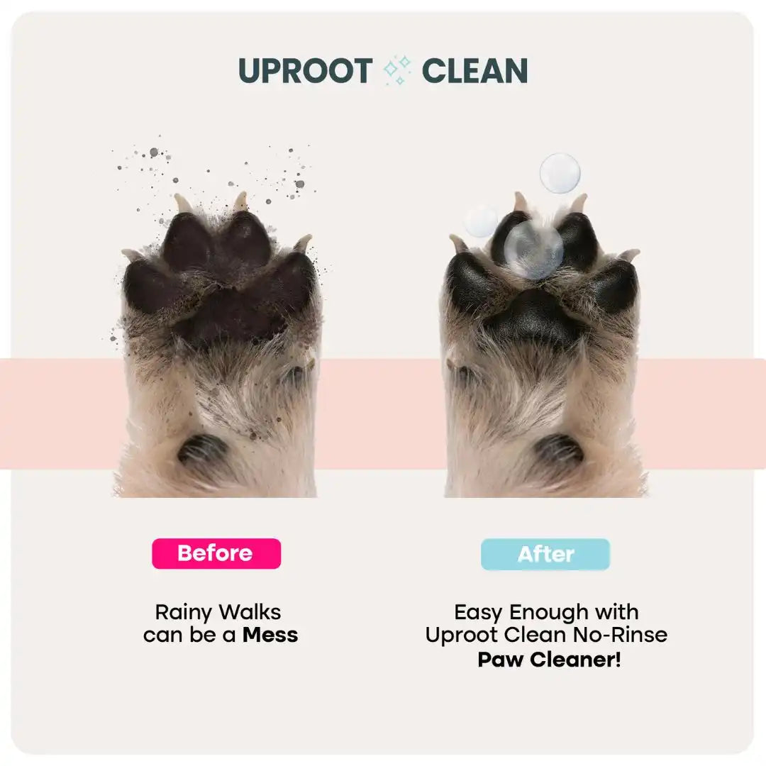 Uproot Paw Cleaner - Rinse-Free Foam Cleanser