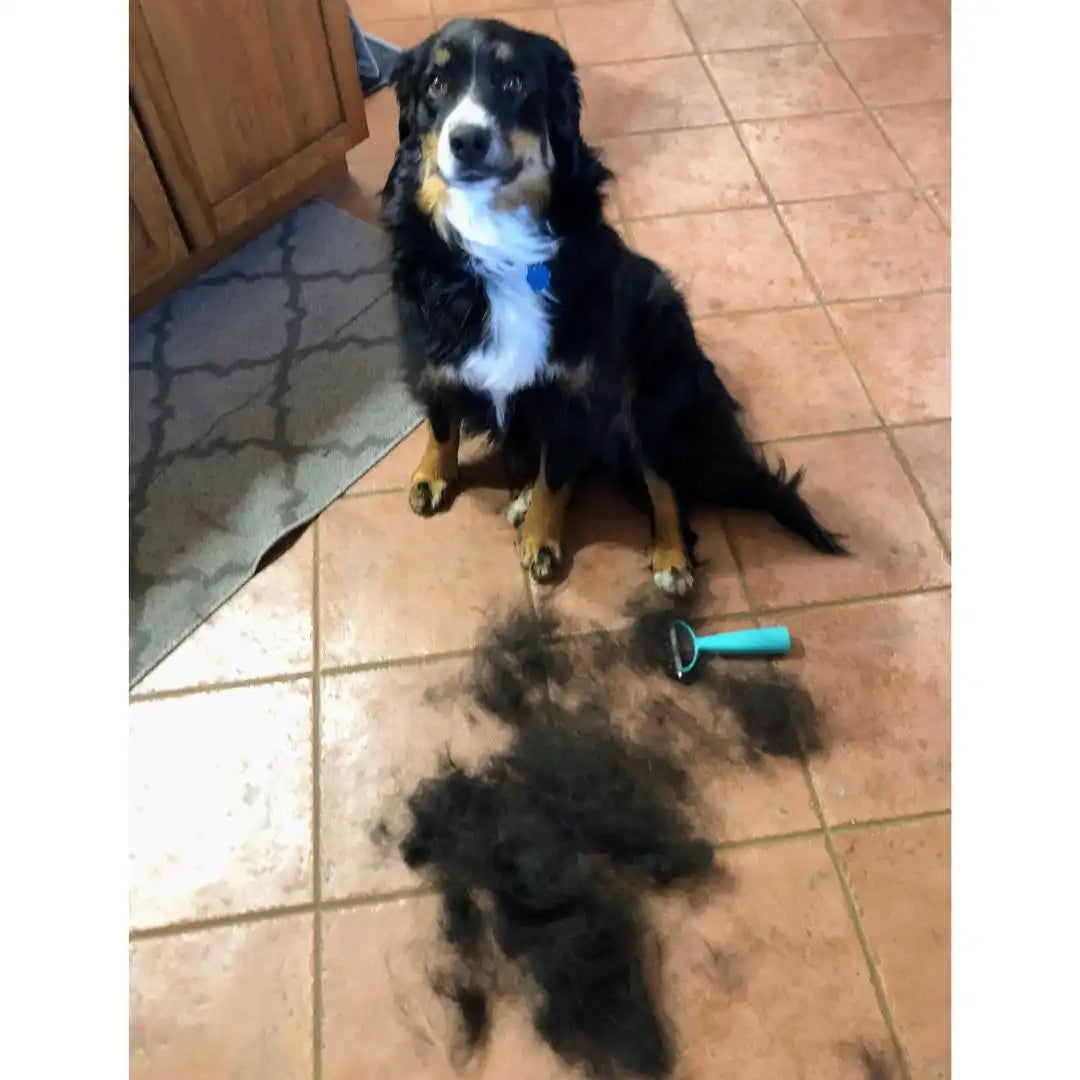 Uproot Cat and Dog Brush