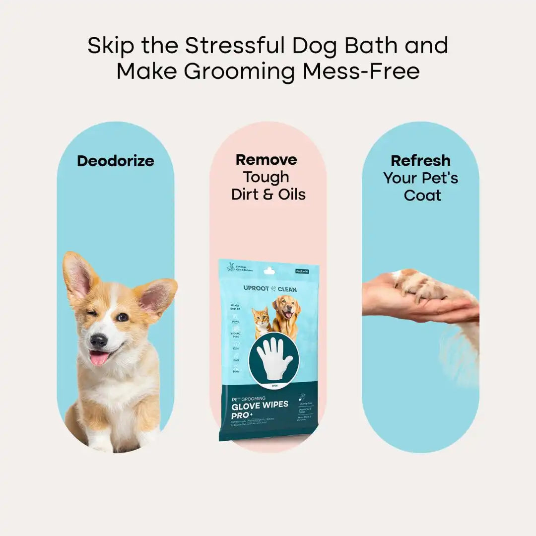 Uproot™ Grooming Gloves Pro