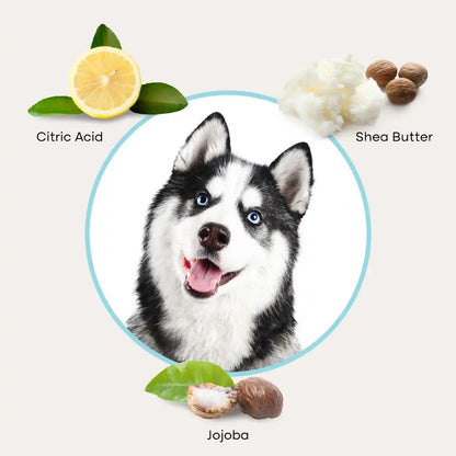 Uproot QuickClean™ Gloves Pro (2 Pack)