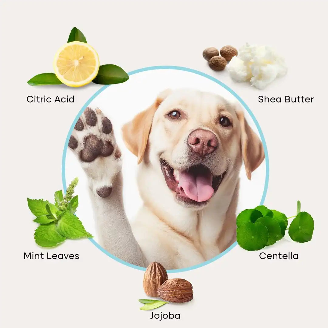 Uproot Paw Cleaner - Rinse-Free Foam Cleanser