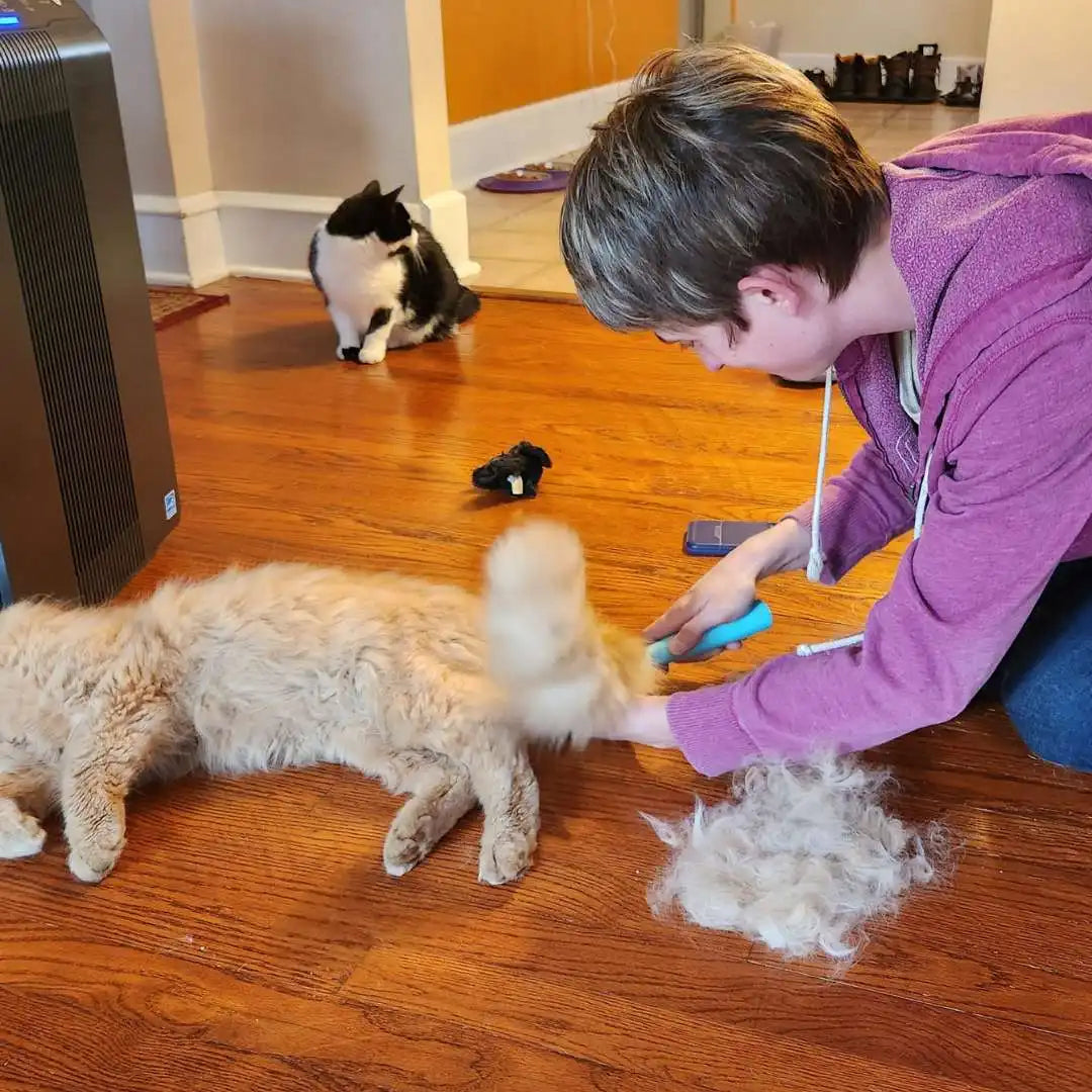 Uproot Cleaner Kits™